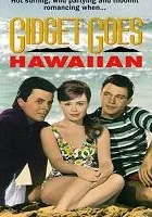 Gidget Goes Hawaiian