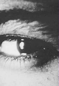 Girls Daydream about Hollywood