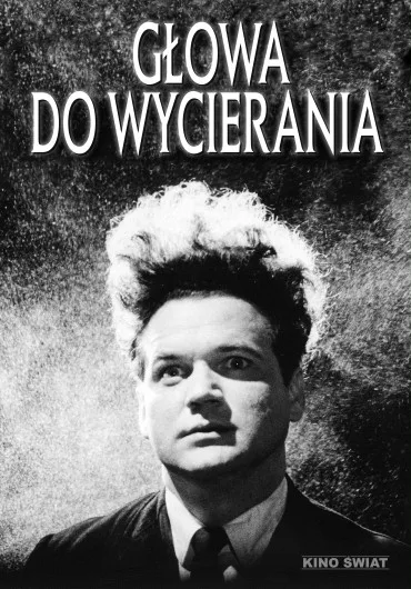 Głowa do wycierania