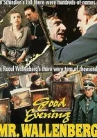 God afton, Herr Wallenberg - En Passionshistoria från verkligheten