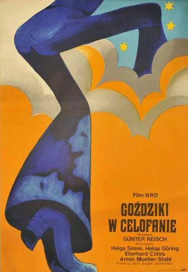 Goździki w celofanie