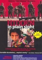 Hidden in Plain Sight