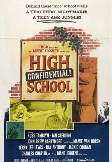 High School Confidential!