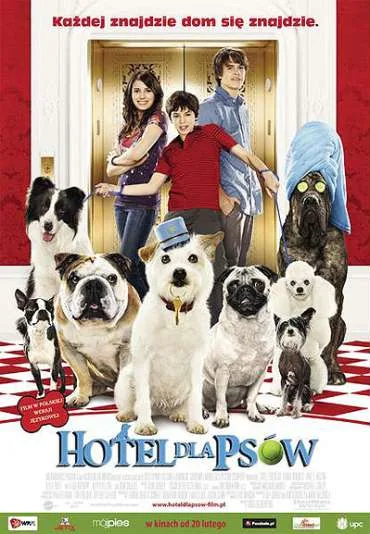 Hotel dla psów
