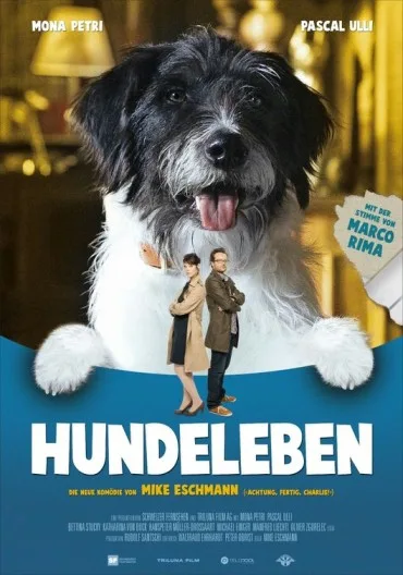 Hundeleben
