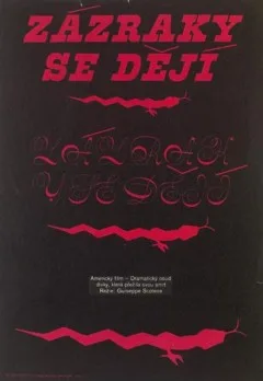 I Miracoli accadono ancora