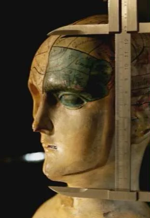 Iloraz inteligencji. Test dla naiwnych