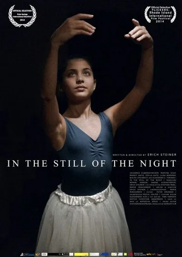 In Der Stille Der Nacht