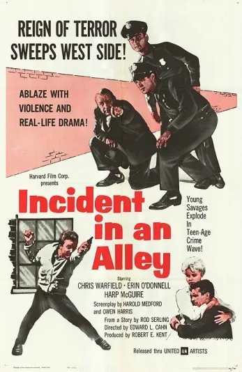 Incident in an Alley