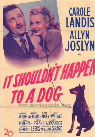 It Shouldn't Happen to a Dog