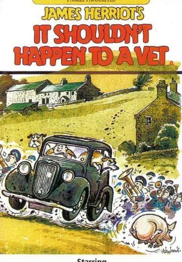 It Shouldn't Happen to a Vet