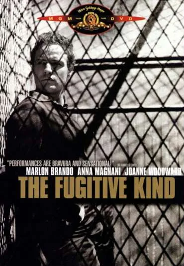 Jak ptaki bez gniazd