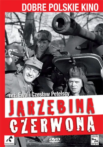 Jarzębina czerwona