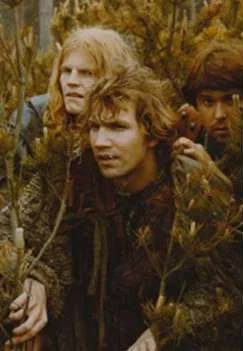 Jastrzębia mądrość