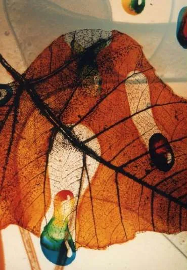 Jesień z cyklu "Pory roku", Koncert F-dur op. 8 nr 3 Allegro