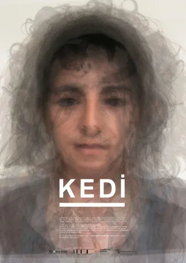 KEDI