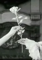 Kawaler srebrnej róży