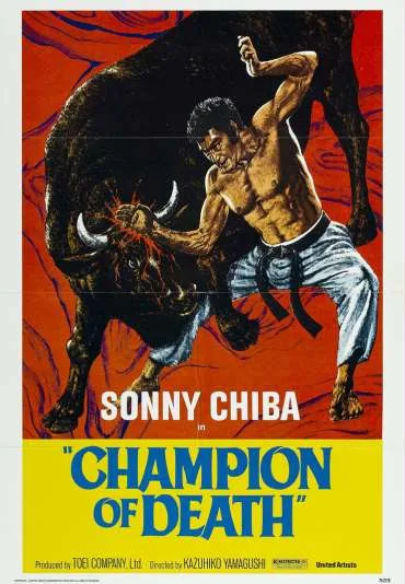 Kenka Karate Kyokushinken