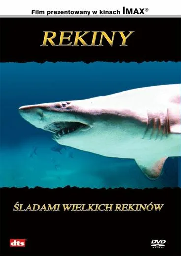 Koniec mitu. Zabawy z rekinami