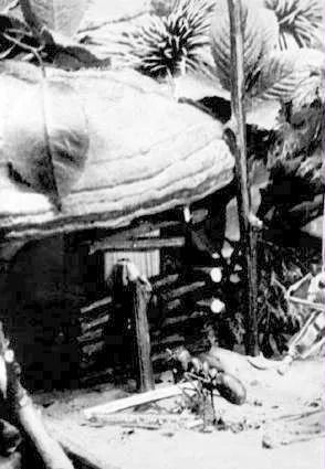 Konik Polny i Mrówka