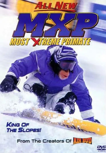 Kosmaty snowboardzista