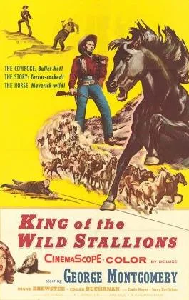 Król dzikich mustangów