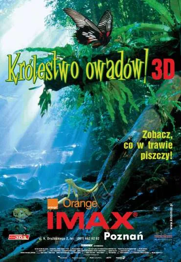 Królestwo Owadów 3D