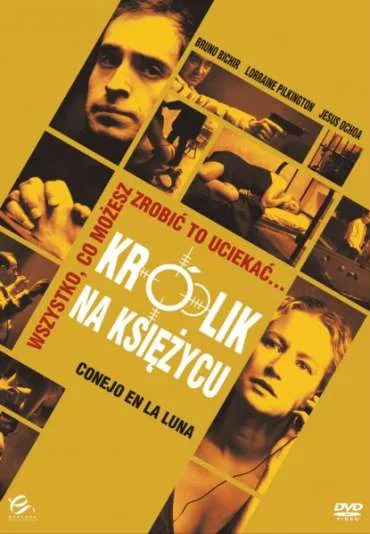 Królik na księżycu