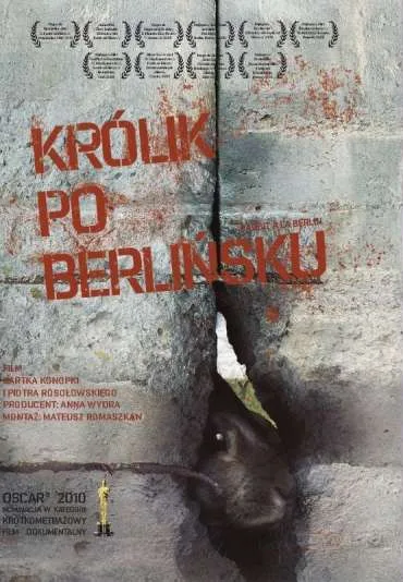 Królik po berlińsku