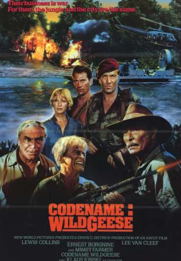 Kryptonim: Dzikie Gęsi