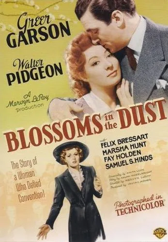 Kwiaty pokryte kurzem