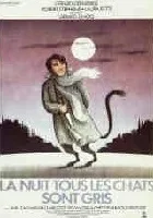 La Nuit tous les chats sont gris