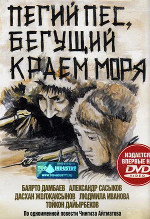 Łaciaty pies, biegnący skrajem morza