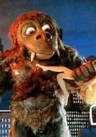 Lalka, najlepszy przyjaciel człowieka