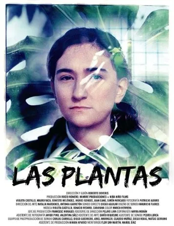 Las plantas