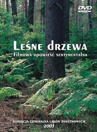 Leśne drzewa