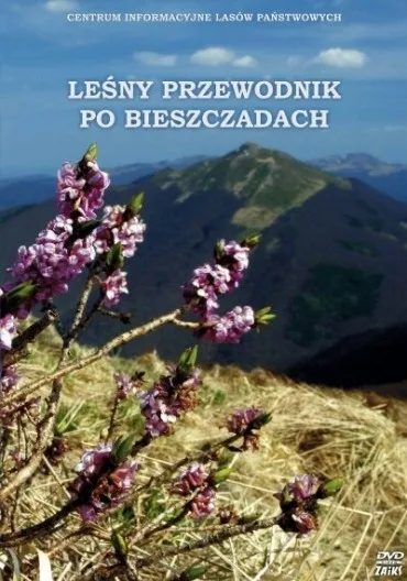 Leśny przewodnik po Bieszczadach