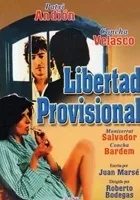 Libertad provisional