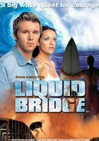 Liquid Bridge
