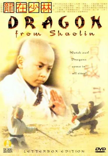 Long Zai Shaolin