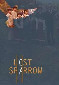 Lost Sparrow