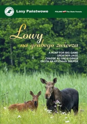 Łowy na grubego zwierza