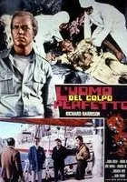 L'uomo del colpo perfetto