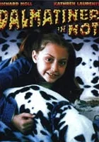 Małe Kobry: operacja "Dalmatyńczyk"