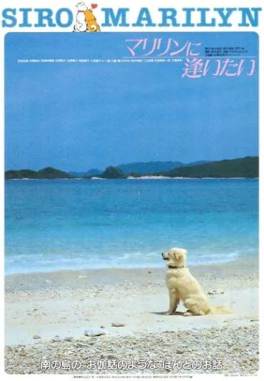 Marilyn ni aitai