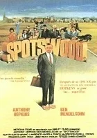 Menedżer w bamboszach