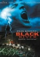 Miasteczko Black River