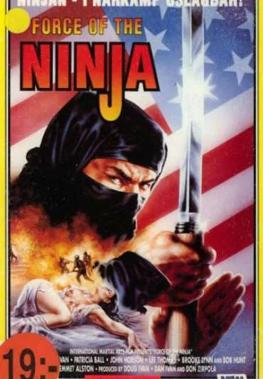 Misja ninja