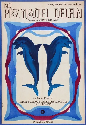 Mój przyjaciel delfin