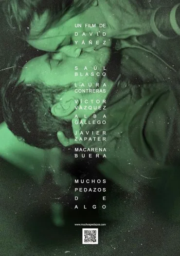 Muchos pedazos de algo